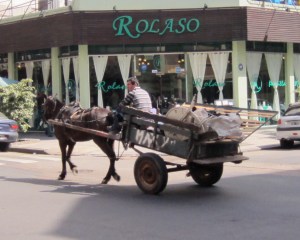 transport-burro