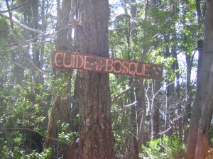 Cuide el Bosque