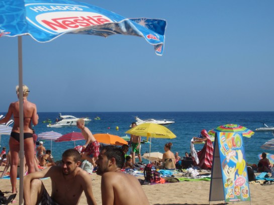 a noisy little cove... check out the boats!