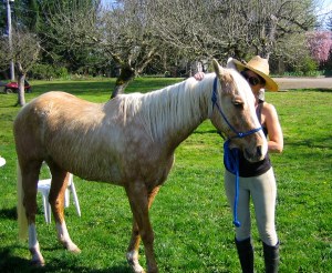 my little angel, pre-battle