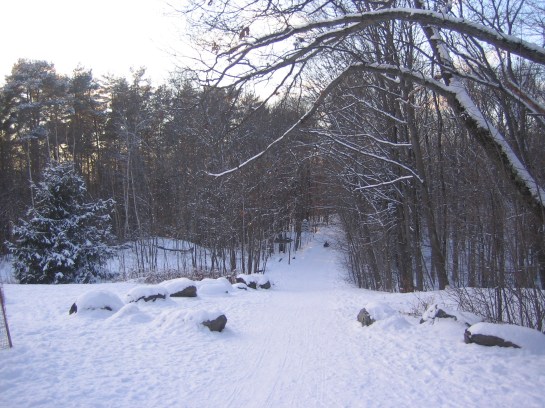 the sled run