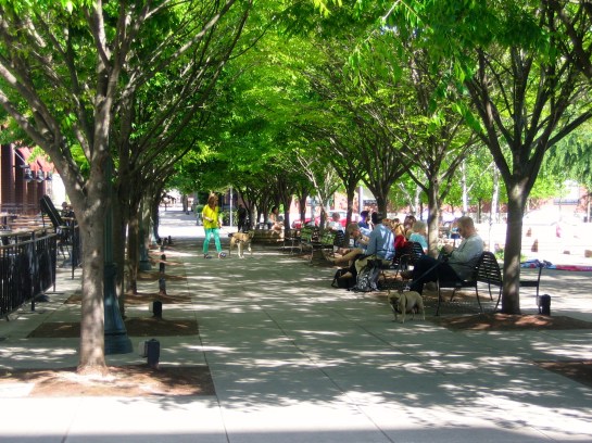 Jamison Square reminds me of ___ Gardens in Paris