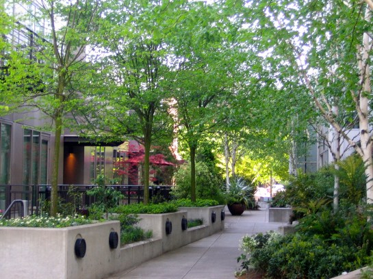 another lovely pedestrian path in the Pearl