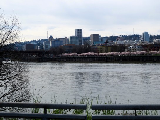 springtime waterfront