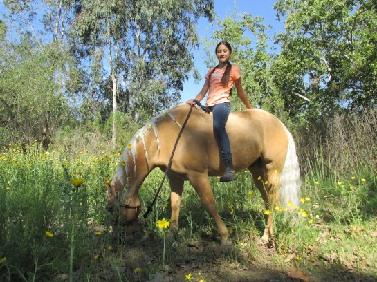 taking a break - tomando un descanso