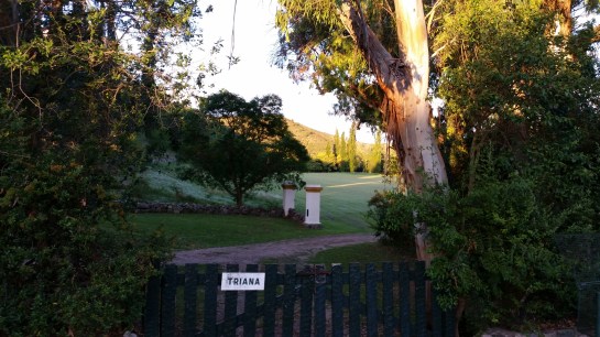 polo field @ Estancia La Triana