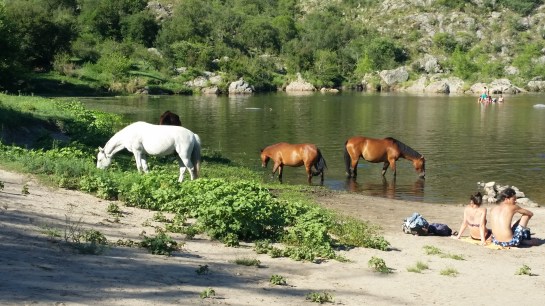 cuesta-blanca-ponies-4