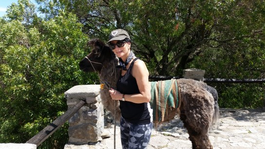 wvicun%cc%83a-cristo-redentor